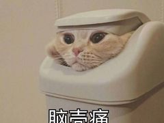 -大同江朝鲜菜•长春地标美食(绿园吾悦广场店)