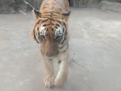 -南昌动物园