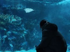 -海合安成都极地海洋公园