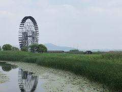 -太湖湖滨国家湿地公园-停车场