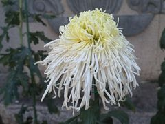 -国家植物园