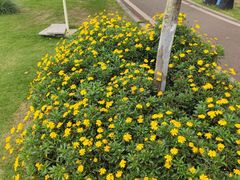 -夏河溪乡野公园