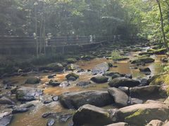 -茅兰沟国家森林公园