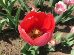 -长春公园(普阳街道)