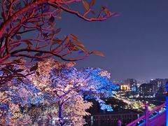 -福神岗公园