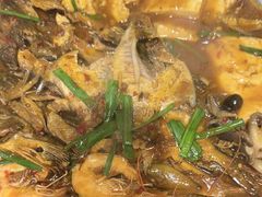 -东来菜馆•手抓海鲜家常菜•海鲜锅贴(鸽子窝店)