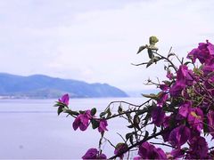 -南诏风情岛