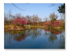 -西溪国家湿地公园