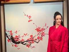 -武汉杜莎夫人蜡像馆