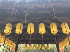 -同里国家湿地公园
