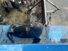 -大连老虎滩海洋公园