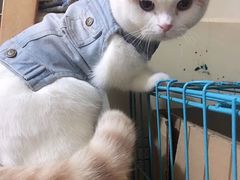 -福成自助烤肉(双桥万达店)