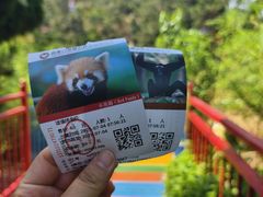 -西霞口神雕山野生动物世界