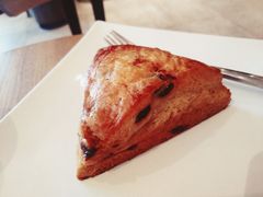 蜂蜜提子司康-星巴克(成都太古里二店)