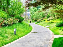 -思念果岭悦温泉