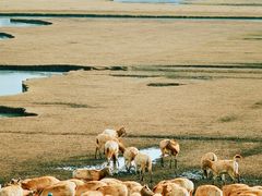 -溱湖国家湿地公园