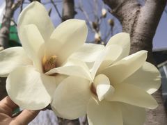 -南宫五洲植物乐园