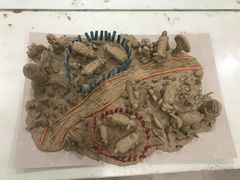 -学知乐教育·幼小衔接·小学科辅导(浦东外高桥森兰中心)