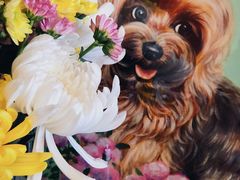 -彩虹桥宠物火化殡葬善终服务(金乐大厦店)