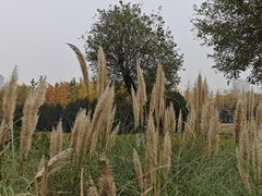 -汉长安城未央宫国家考古遗址公园