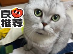 -芭比堂动物医院广州顽皮分院