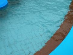 -碧水湾温泉