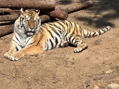 -西霞口神雕山野生动物世界