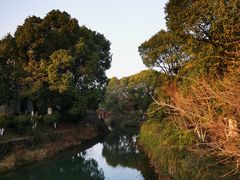 -八大山人梅湖景区