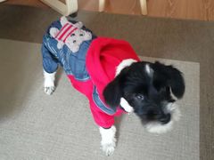 -天虹国际大酒店-停车场