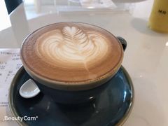 -飞行喵MR PILOT|猫舍·猫咖(静安大融城店)