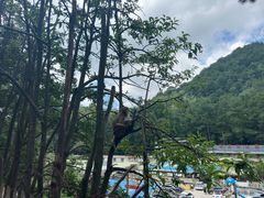-黔灵山公园