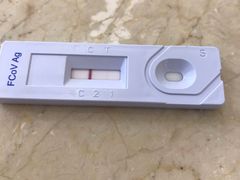 -艾贝尔宠物诊疗