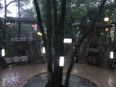 -天门沟九州驿站树上汤泉