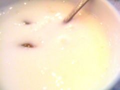 自制酸奶-渝利重庆火锅