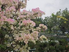 -龙回山庄