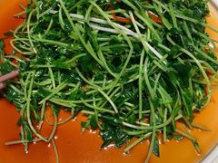 农场蔬菜-觅唐MITONG(鸟巢店)