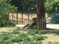 -大连森林动物园