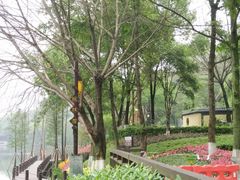-重庆彩云湖湿地公园