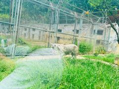 -黔灵山公园