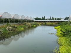 -马陆小张葡萄园农家乐