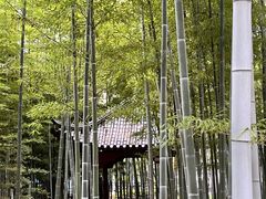 -绳金塔