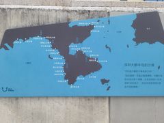 -杨梅坑