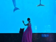 -海合安成都极地海洋公园