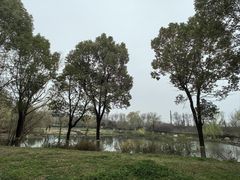 -习家池