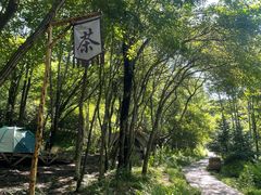 -帽儿山风景区