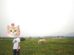 -十三陵水库