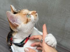 -Again Coffee Roaster(香蜜湖店)