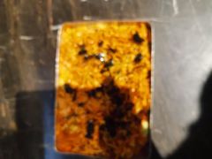 -大叹号·朝鲜族烤肉(潍坊泰华城店)