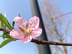 -艾溪湖湿地公园