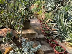 -国家植物园南园